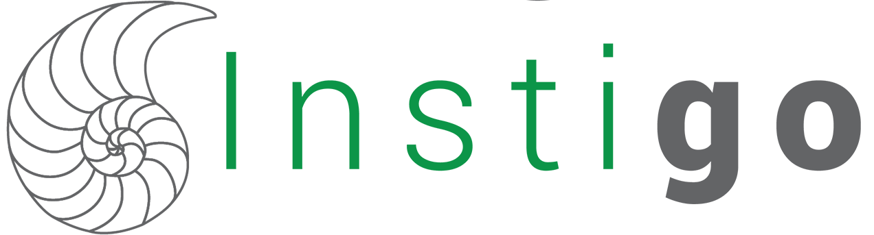 Logo instigo